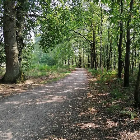 Haus Hildegard - Garni 3 Sterne Superior Hotel 3*