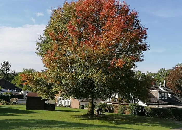 Haus Hildegard Bed & Breakfast 3*