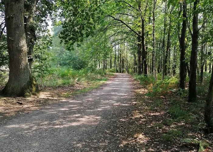 Haus Hildegard Panzió 3*